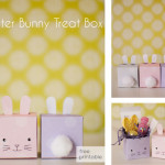 Bunny Gift Box